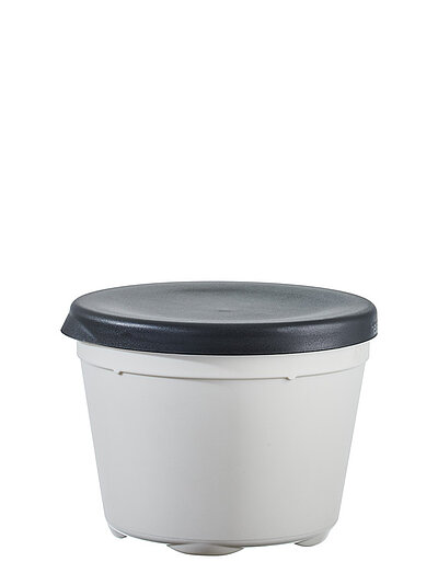 CTG 260 Mehrweg EIS- Becher cremeweiss gefrostet
